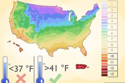 How to Plant Guanabana Seeds