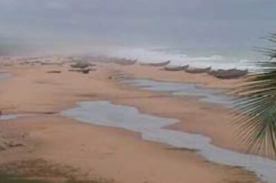 It's 'raining' holiday packages in Kerala