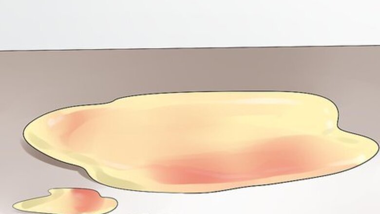 How to Detect Canine Bladder Stones