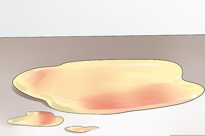 How to Detect Canine Bladder Stones