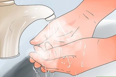How to Give Your Dog Eye Drops