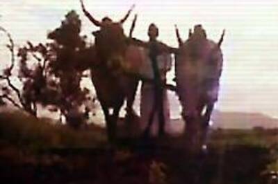 301 farmer suicides since July: NGO