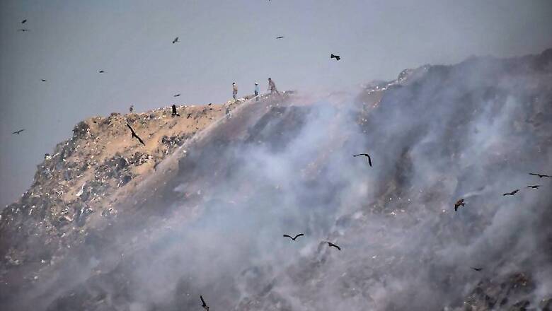 Delhi's Three Civic Bodies Fined Rs. One Crore Each for Violating Pollution Laws