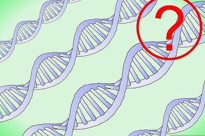 How to Work With Punnett Squares
