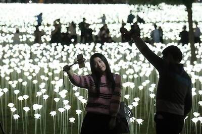 Photos: Hong Kong's picturesque garden that lights up with 25,000 LED roses