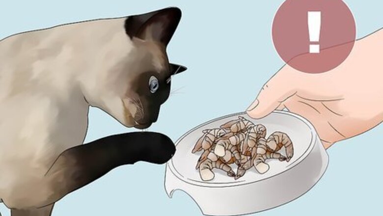 How to Feed Cats Table Scraps