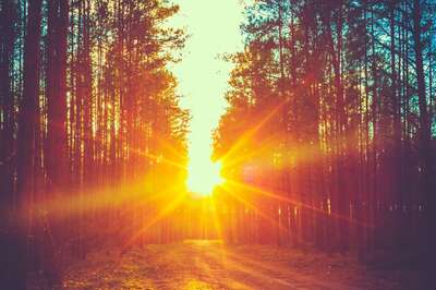 Aaj Ka Panchang, February 10, 2024: Tithi, Vrat, and Today’s Shubh, Ashubh Muhurat