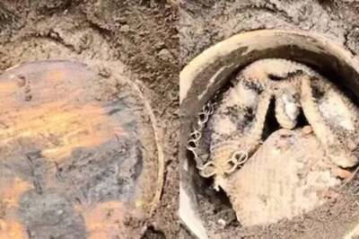 Watch: Man Goes Treasure Hunting, Finds Doll With Ornaments And Coins