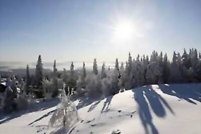 Norway world's best place to live, Niger worst: report