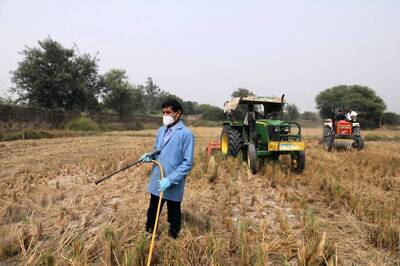 IARI's Bio-decomposer Trials in Delhi Signal Stubble Trouble May Soon Have Antidote