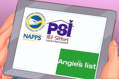 How to Choose the Right Care for Your Dog While on Vacation