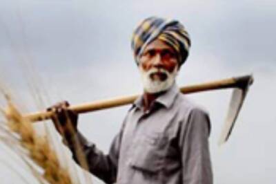 'Great News for Farmers': India Approves $8 Billion Subsidy for Phosphate-based Fertilizers