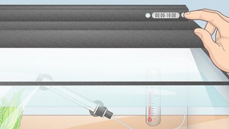 How to Prevent Algae Growth in a Freshwater Aquarium