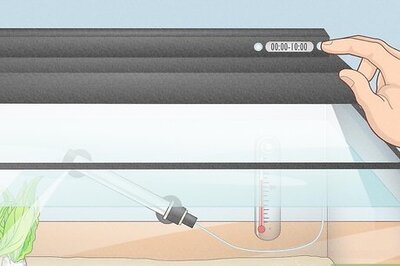 How to Prevent Algae Growth in a Freshwater Aquarium