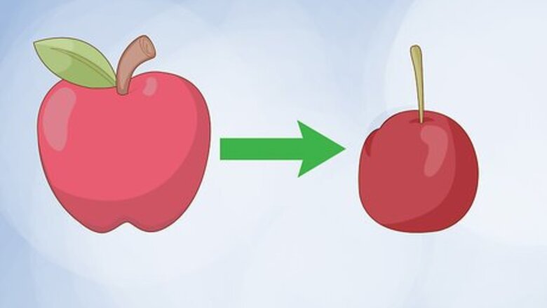 How to Pollinate Fruit Trees