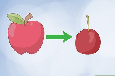 How to Pollinate Fruit Trees