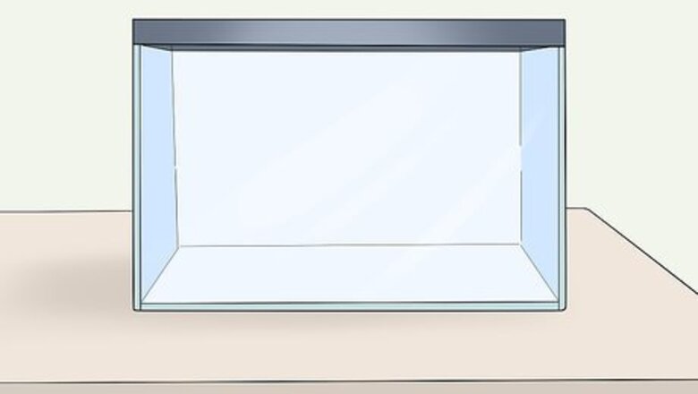 How to Make a Comfortable Gerbil Home