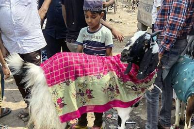 'Offensive to Other Muslims': Pak Punjab Police Says Minority Ahmadis Can't Do Eid Qurbani | Exclusive