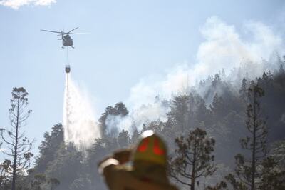 Argentina: Uncontrolled Blaze Threatens UNESCO Heritage Site in Patagonia
