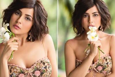 Shehnaaz Gill Shares Makeover Photos, Fans Go Crazy