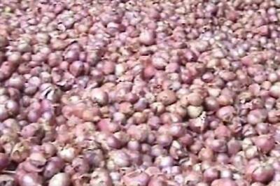 Delhi HC asks Government to take steps to bring down onion prices