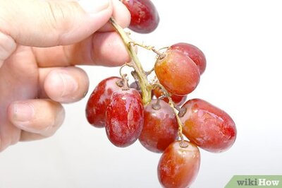 How to Keep Grapes Fresh