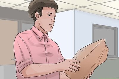 How to Care for a Maltese Dog