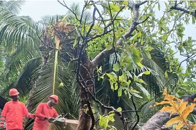 As Andaman & Nicobar Islands Prep Up for Cyclone Asani, Here's How the Storm Got its Name