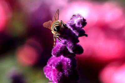 Easy Ways to Create a Garden at Home