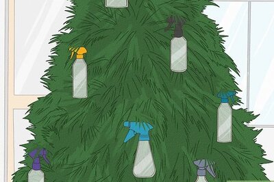 How to Cat Proof Your Christmas Tree