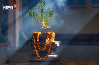 Happy Tulsi Pujan Diwas 2023! Wishes, Quotes and Messages to Share on WhatsApp, Facebook & Instagram