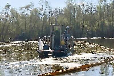 Gators Fouled By Diesel Spill Get A Scrubbing, Teeth Cleaned
