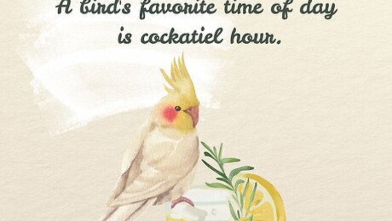 150+ Hilarious & Clever Bird Puns, Jokes & Riddles