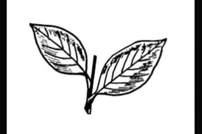 Lok Sabha polls: DMK MP Ritheeish joins AIADMK