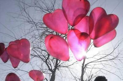 Love Commandos fighting for the cause of love