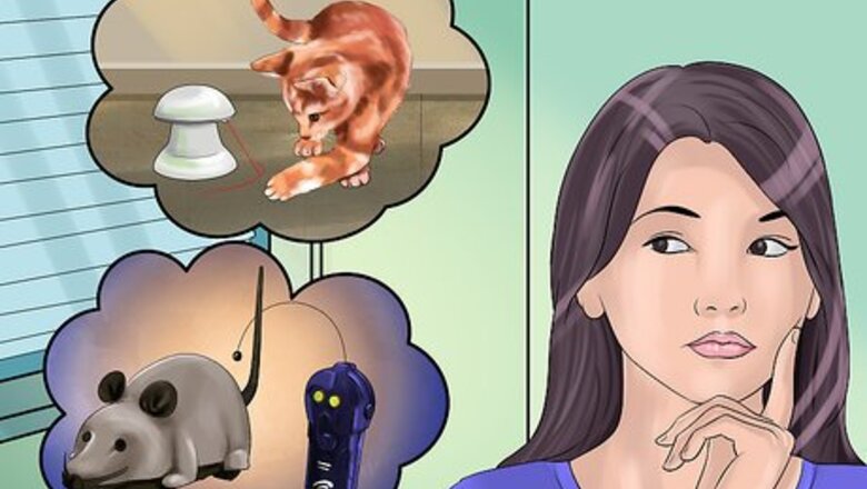 How to Choose Automated Cat Toys
