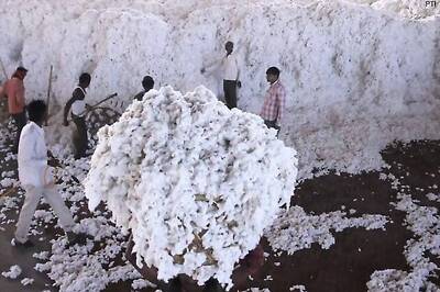 Cotton exports to neighbouring nations to resume