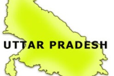 Where stray dogs occupy hospital beds