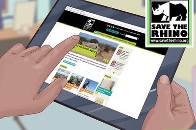 How to Help Rhinos