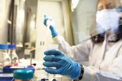 Researchers in China Find Batch of New Coronaviruses in Bats: Report