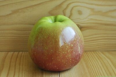 How to Make an Apple Swan