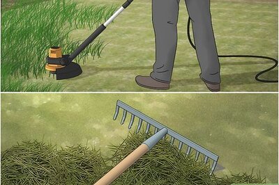 How to Get Rid of Bumble Bees