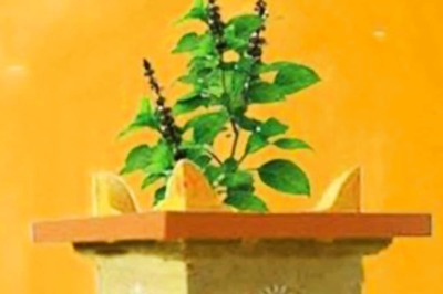 Dev Uthani Ekadashi 2020: Date, Time and Significance of Prabodhini Gyaras