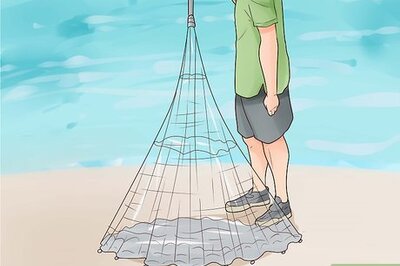 How to Catch Mullet