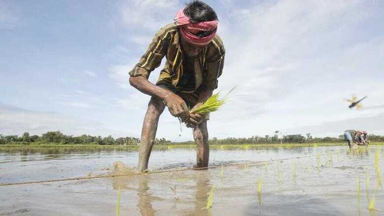 Maharashtra Farmers File Police Complaint Against IMD for 'Wrong' Weather Forecast