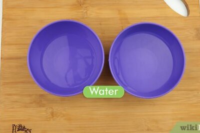 How to Approach Watercolor Painting As a Beginner