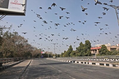 A Wind of Change: The Coronavirus Curse Has Been a Boon for India's Air Quality