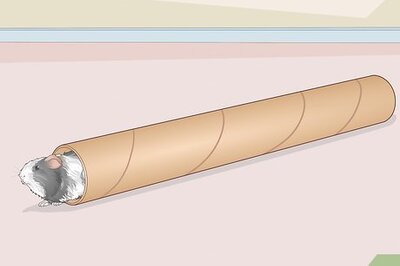 How to Make Cardboard Guinea Pig Toys