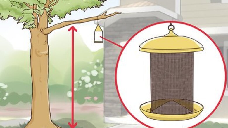 How to Protect Small Yard Animals from Cats