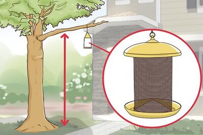 How to Protect Small Yard Animals from Cats